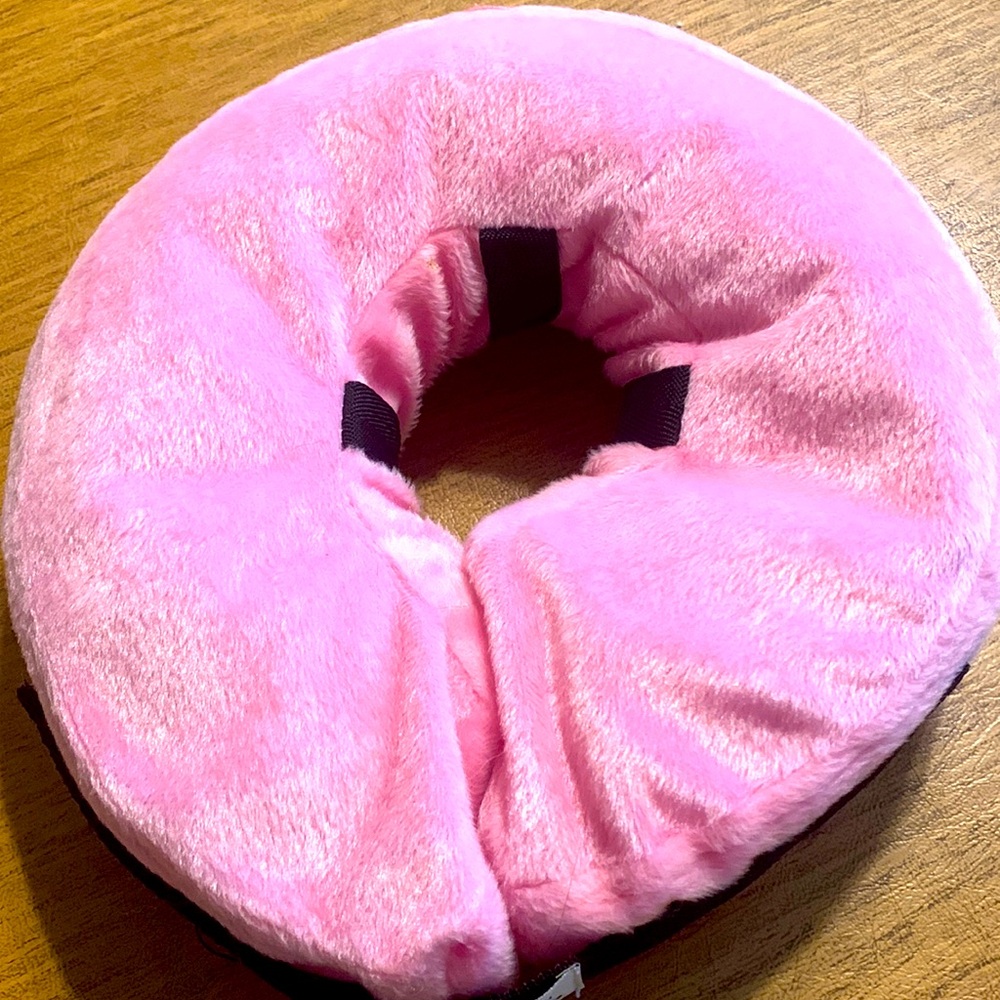 Air collar cone for puppies